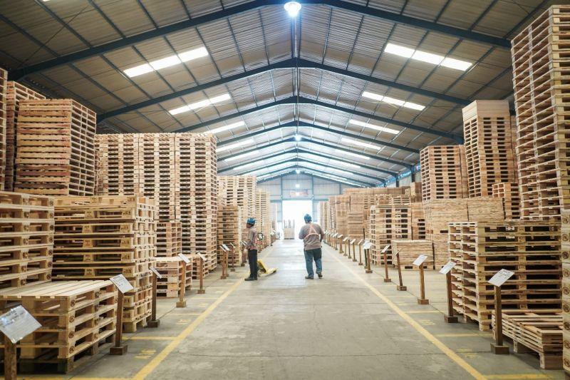 Pallet gỗ theo kích thước cho doanh nghiệp tại Vũng Tàu